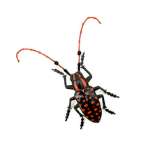 Load image into Gallery viewer, Black and Orange Longhorn Beetle