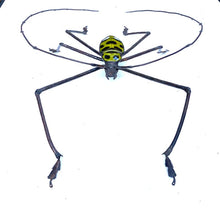 Load image into Gallery viewer, Longhorn Beetle Sculpture- Modelled after 'Gerania bosci bosci