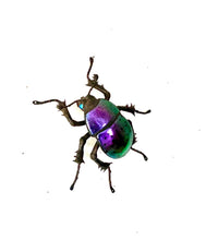 Load image into Gallery viewer, Small Purple Scarab Sculpture
