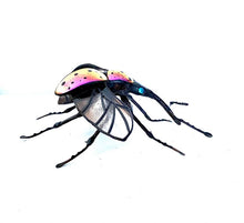 Load image into Gallery viewer, Pink Spotted Weevil Wings Open