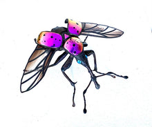 Load image into Gallery viewer, Pink Spotted Weevil Wings Open