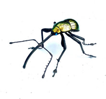 Load image into Gallery viewer, Golden Nut Weevil