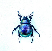 Load image into Gallery viewer, Small Purple Beetle