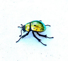 Load image into Gallery viewer, Small Golden Scarab Sculpture