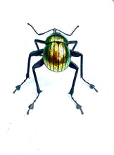 Load image into Gallery viewer, Golden Nut Weevil
