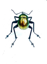 Load image into Gallery viewer, Golden Nut Weevil