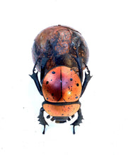 Load image into Gallery viewer, Small Dung Beetle Sculpture