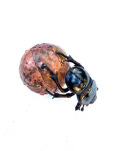 Load image into Gallery viewer, Mini Dung Beetle Sculpture