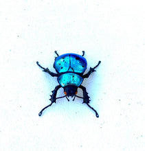 Load image into Gallery viewer, Small Blue Beetle Sculpture