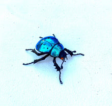 Load image into Gallery viewer, Small Blue Beetle Sculpture

