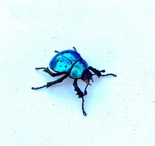 Load image into Gallery viewer, Small Blue Beetle Sculpture