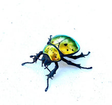 Load image into Gallery viewer, Small Golden Scarab Sculpture
