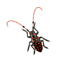 Load image into Gallery viewer, Black and Orange Longhorn Beetle
