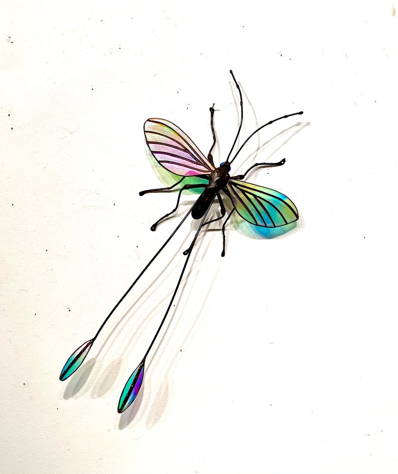 Threadwing Lion Insect Threadwing Lacewing – Sean Goddard Insects