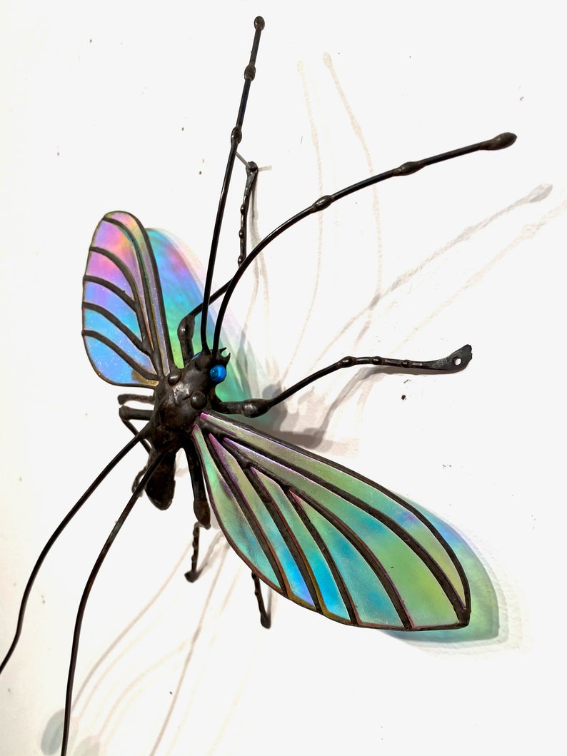 Threadwing Lion Insect Threadwing Lacewing – Sean Goddard Insects