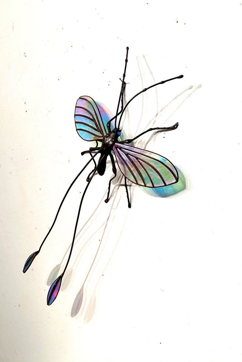 Threadwing Lion Insect Threadwing Lacewing – Sean Goddard Insects