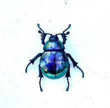 Load image into Gallery viewer, Small Purple Beetle

