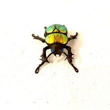 Load image into Gallery viewer, Mini Beetle Sculpture
