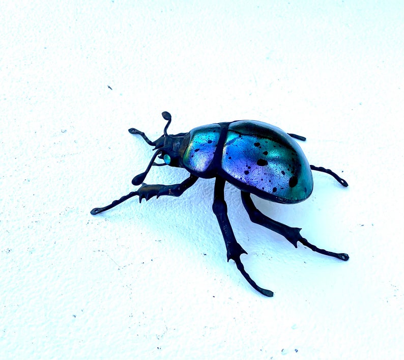 Small Purple Beetle