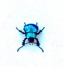Load image into Gallery viewer, Small Blue Beetle Sculpture
